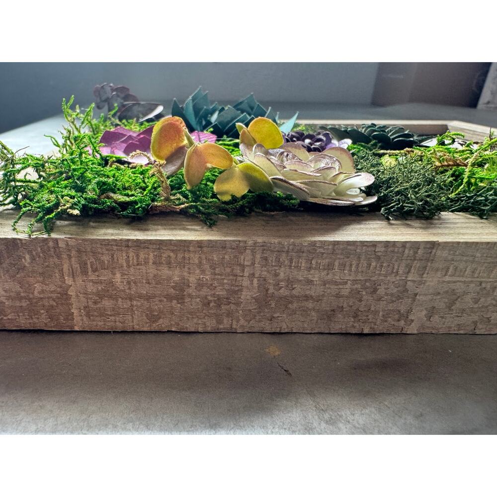 Handmade 8x10 Preserved Moss Wall Art w/ Paper Succulents Rustic Botanical Decor - Picture 10 of 12